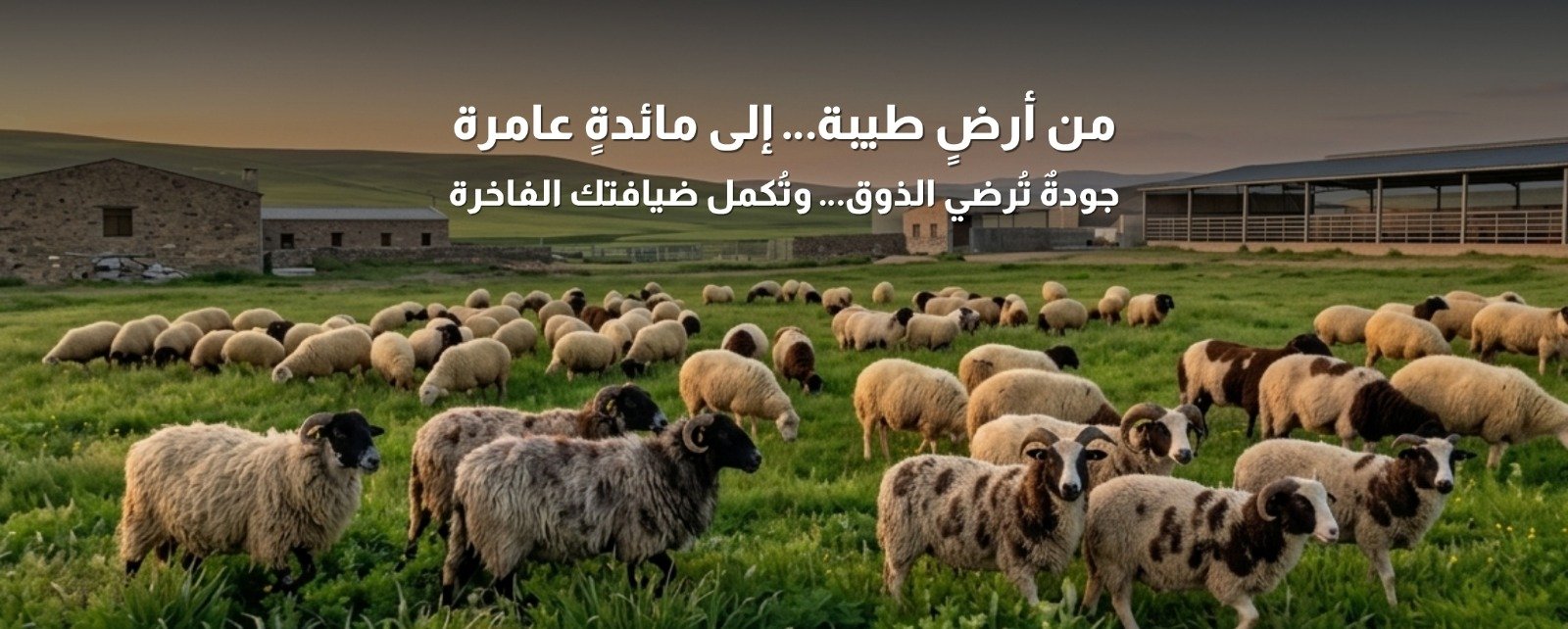 WhatsApp Image 2026-04-21 at 5.45.57 PM (1)